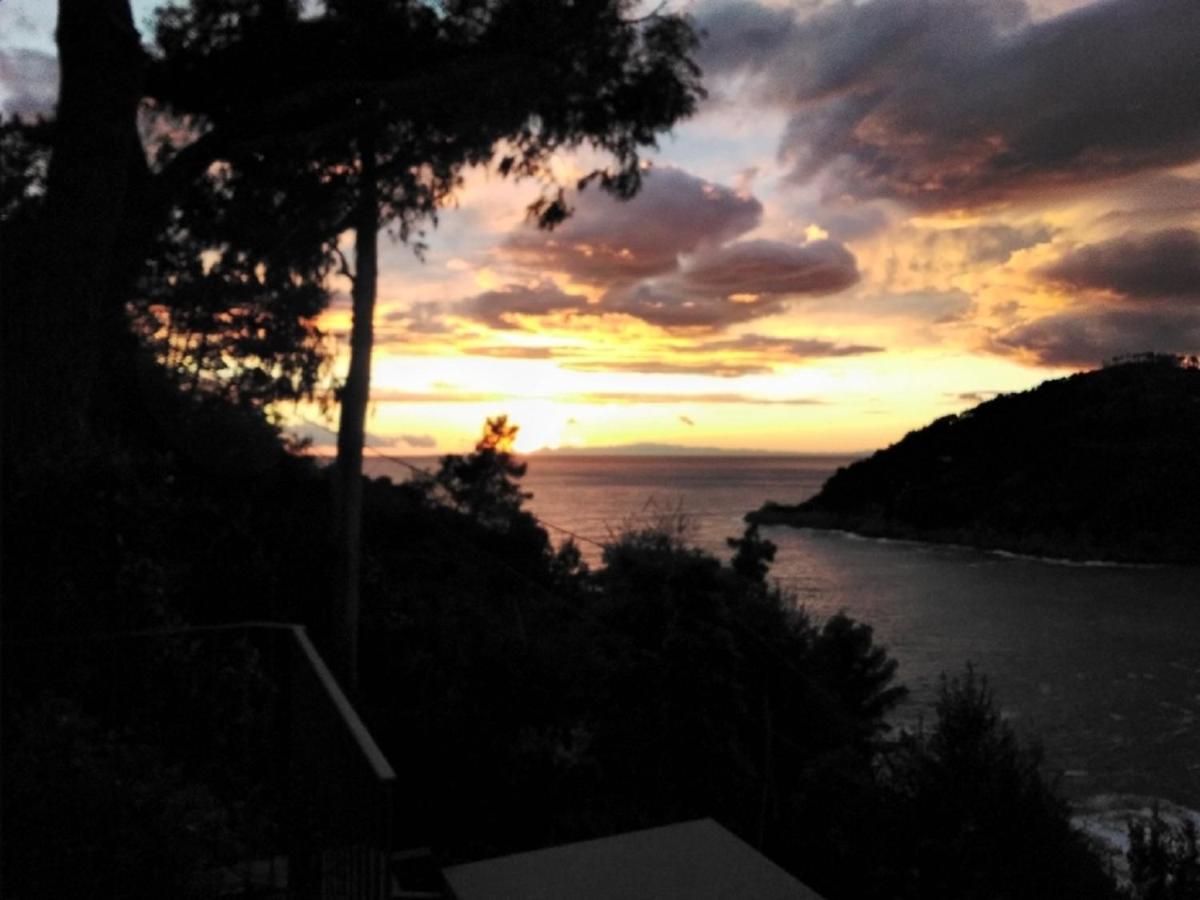 Villa Mimosa Splendida Vista Mare Bonassola Bagian luar foto