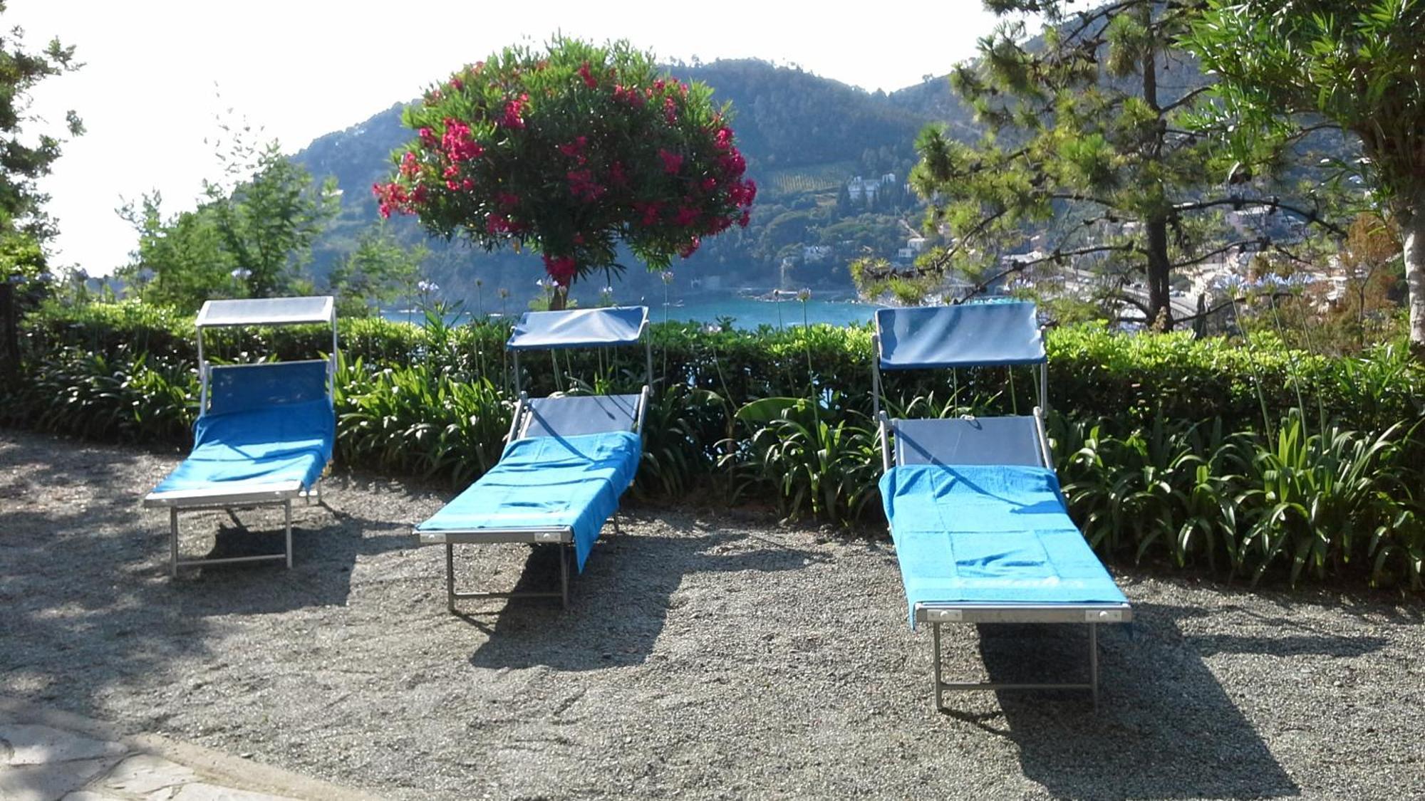 Villa Mimosa Splendida Vista Mare Bonassola Bagian luar foto