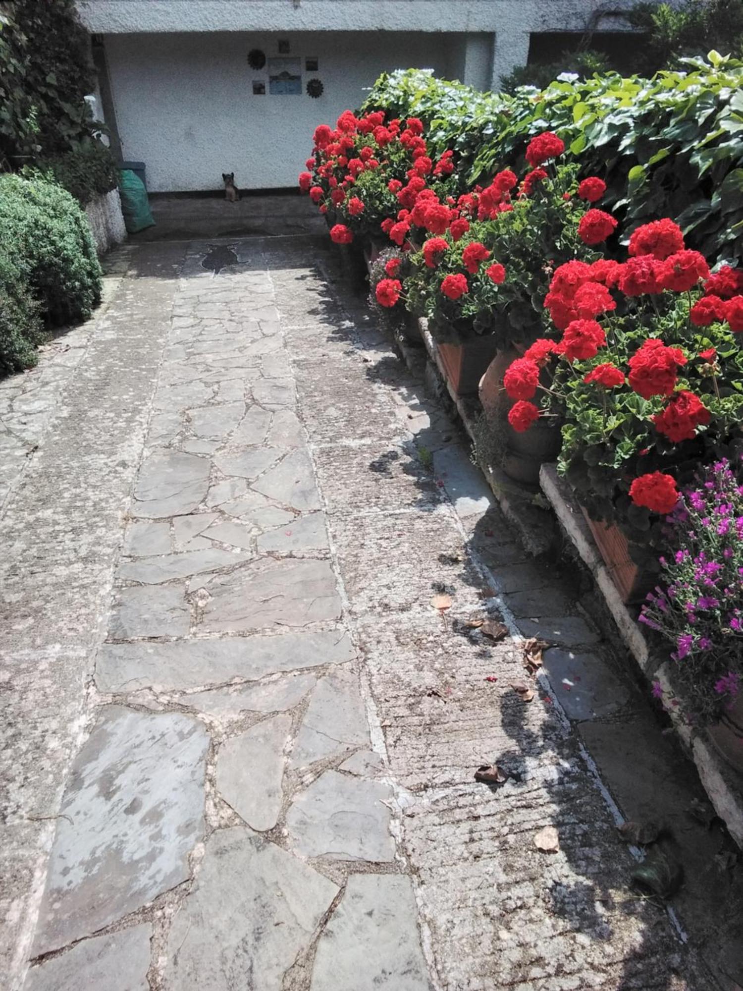 Villa Mimosa Splendida Vista Mare Bonassola Bagian luar foto